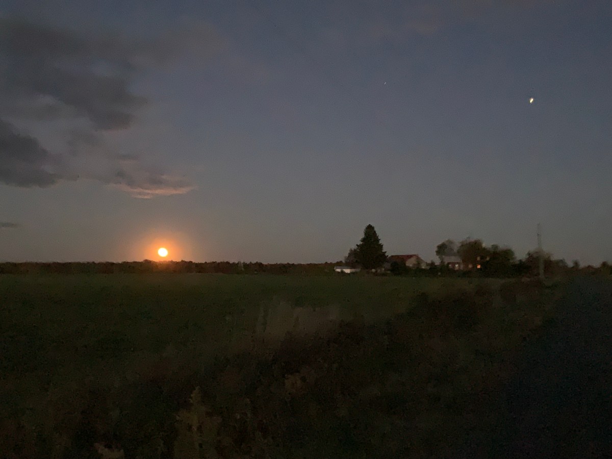 Lune Orange SainteMonique de Nicolet