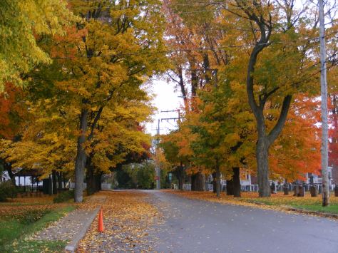 Photo automne, arbres colorés le long de la rue st-antoine à sainte-monique de nicolet.