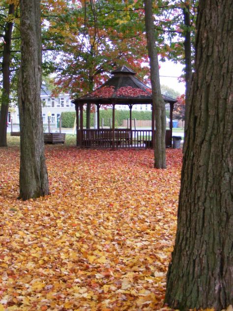 Photo du gazebo au parc apollo de sainte-monique situé sur la rue principale.
Photo carine avec un c