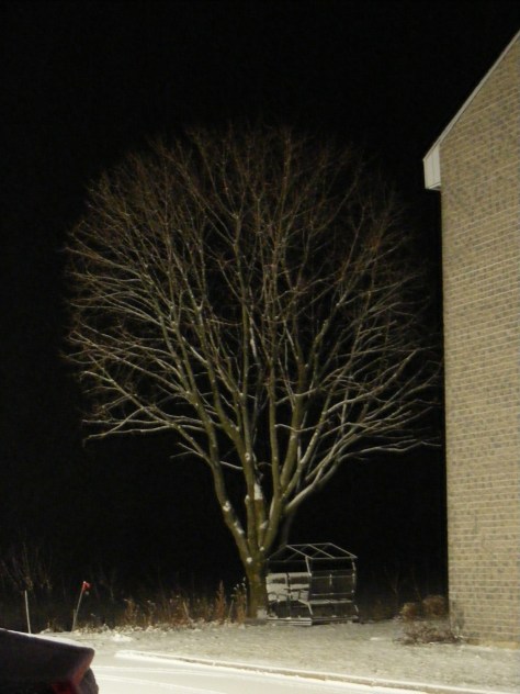 HLM sainte-monique de nicolet