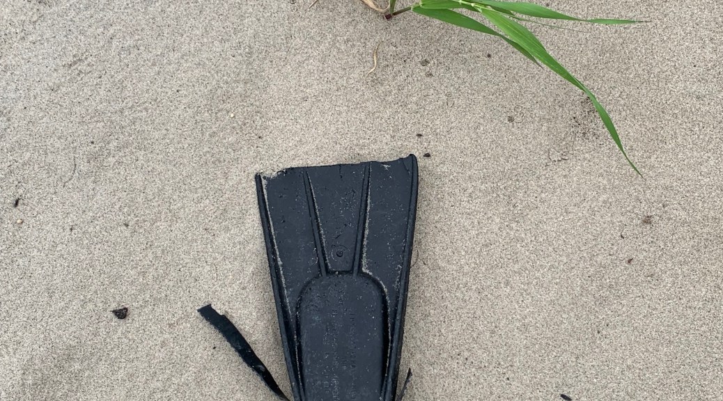 Palme sur le sable