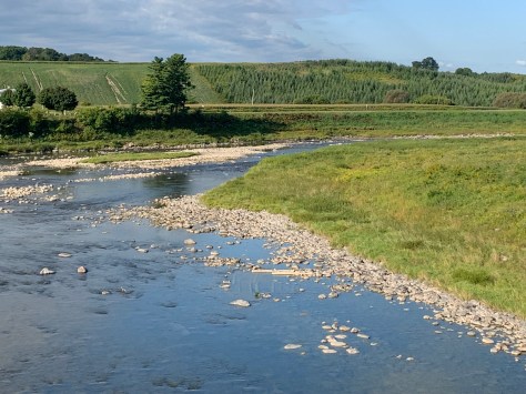 Photo de la rivière Nicolet avec vue sur le bas de l'île et structure de bois dans la rivière